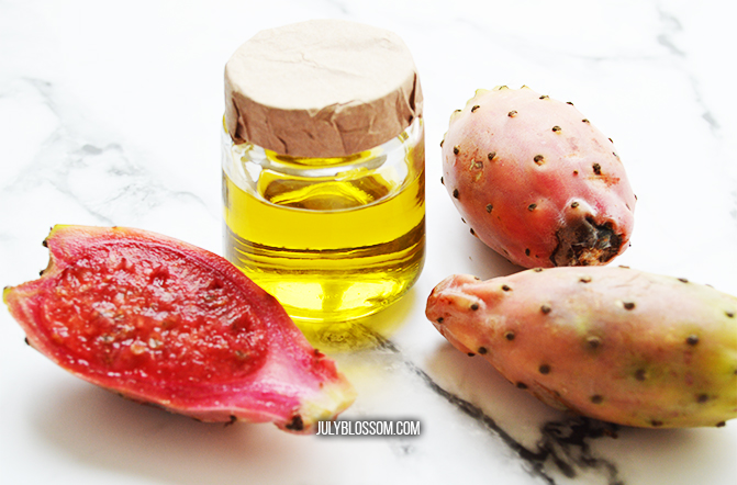 Have you ever heard of the beauty benefits of prickly pear oil? This exotic oil is actually a gem when it comes to natural beauty purposes! Let’s talk about some of its lush properties & uses below: