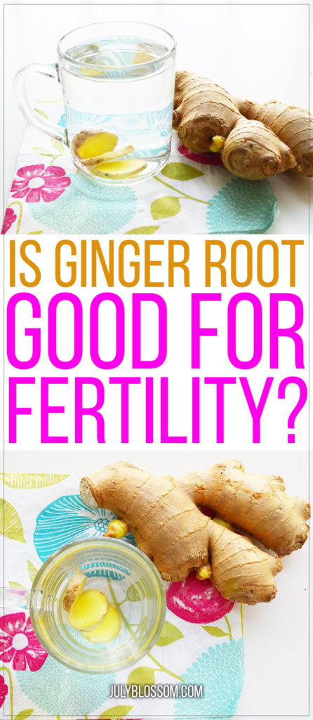 You might already be knowing that ginger is useful for suppressing nausea and helping soothe menstrual pain…then the question arises, is ginger good for fertility? Let’s find out in this article: