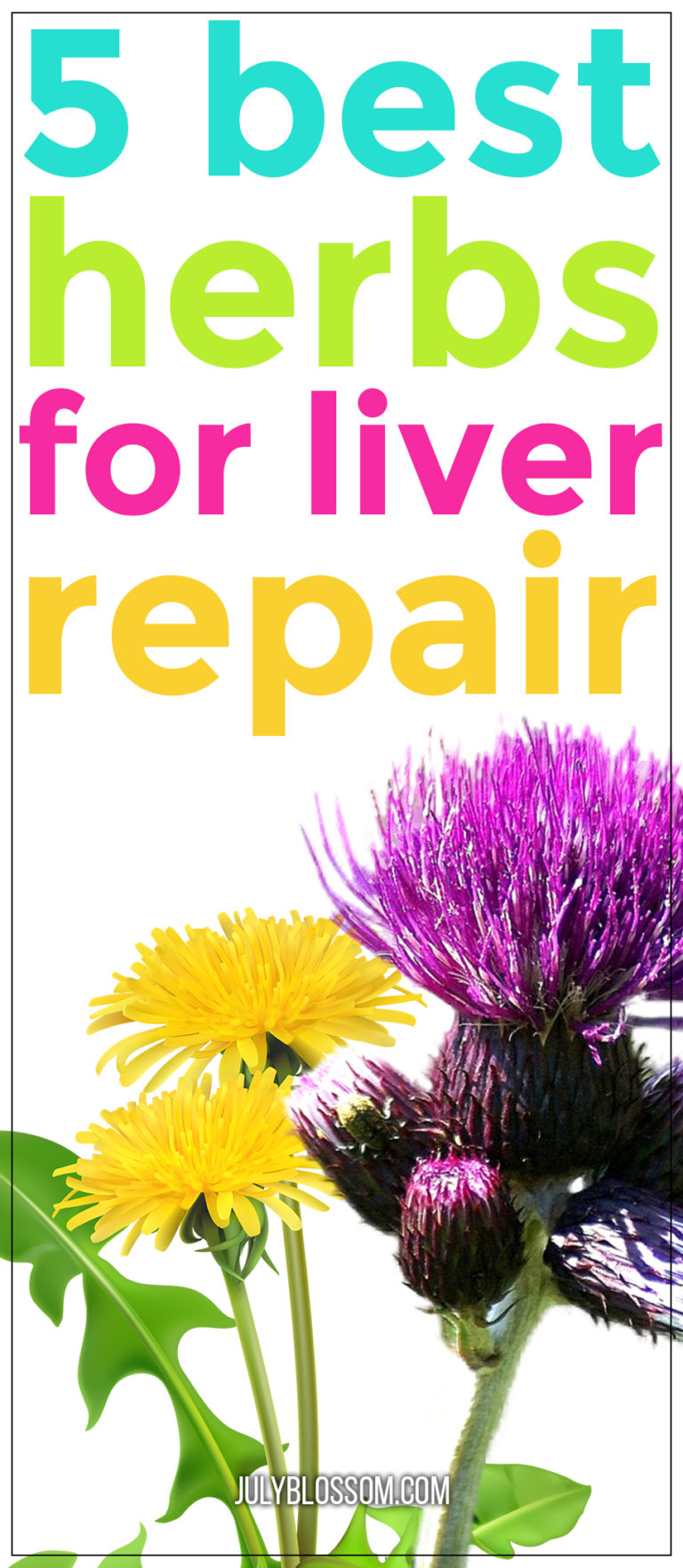 5 Best Herbs For Liver Repair ♡ July Blossom