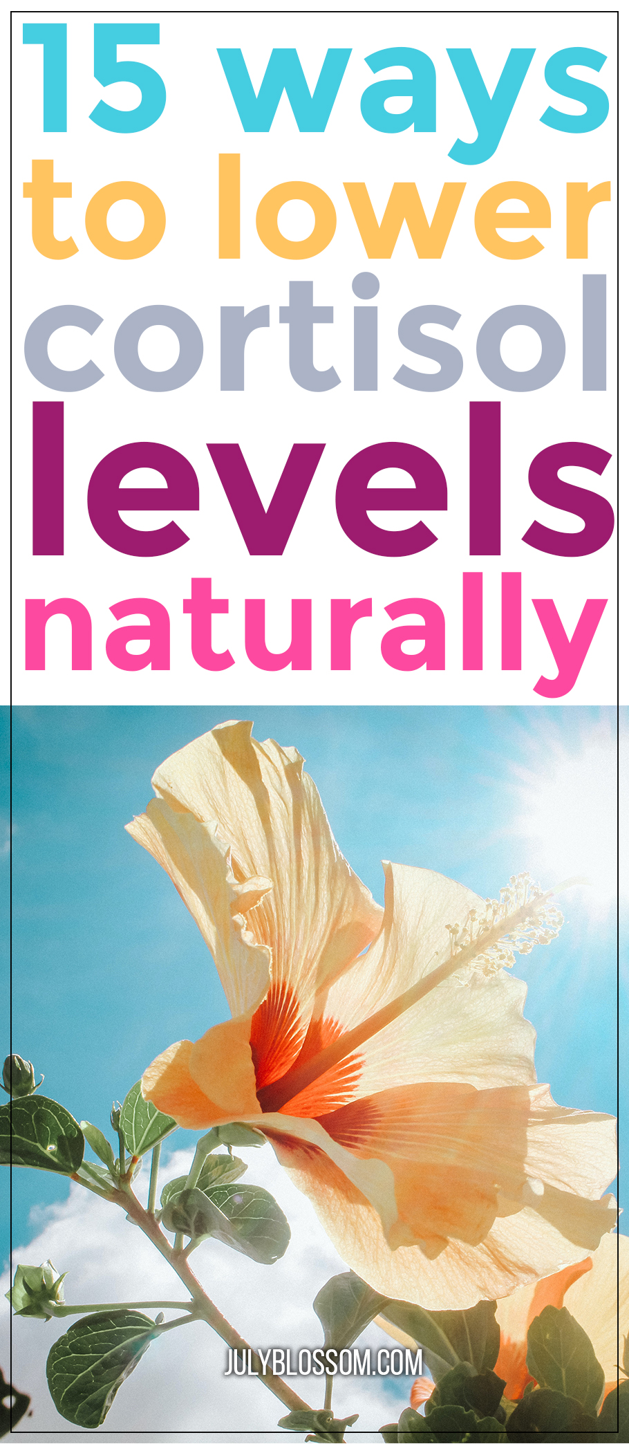 How To Lower Cortisol Levels Naturally - 15 Ways - ♡ July Blossom