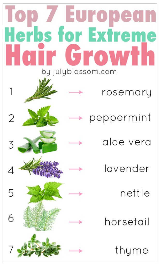 Women since long ago have been using herbs for their hair care. What remedies have they been using? One of them is herbs. This article talks about the top 7 European herbs for hair growth and how to use them so keep reading. 