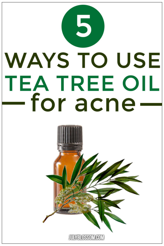 Tea tree essential oil is held in high esteem when it comes to healing acne prone skin. We shall explore how to use tea tree oil for acne in 5 easy and effective ways!  