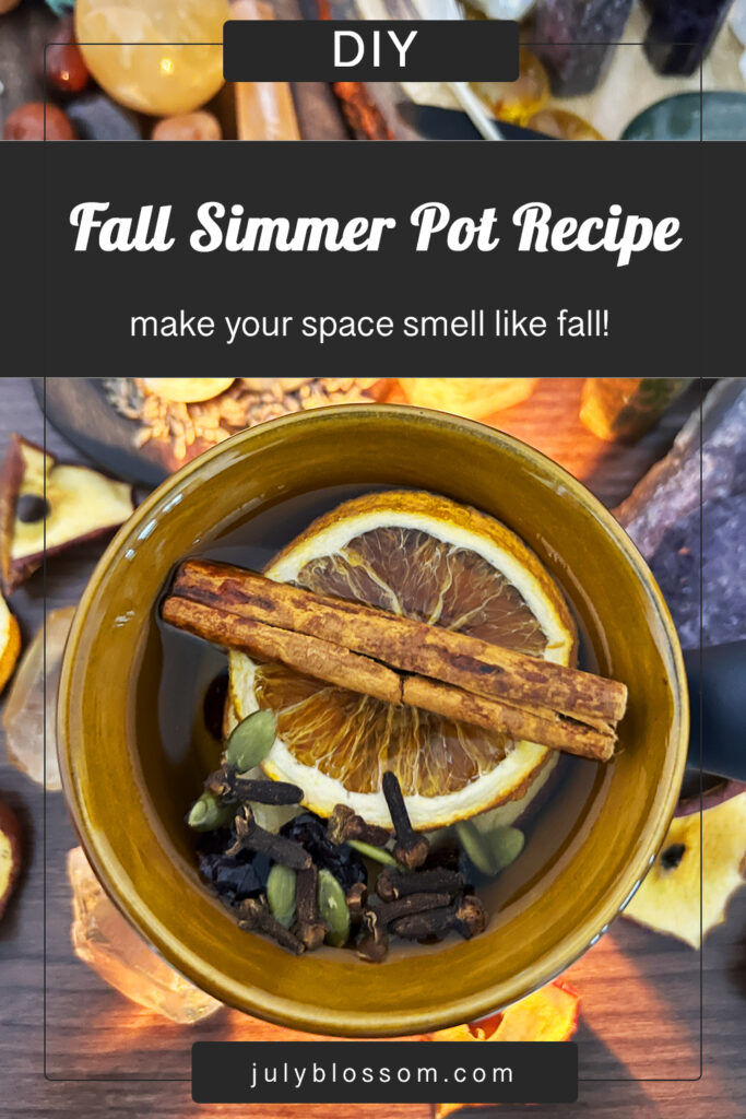 https://www.julyblossom.com/wp-content/uploads/2022/12/fall-simmer-pot-recipe-683x1024.jpg